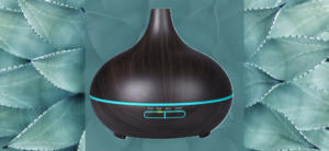 HUMIDIFIER FOR ESSENTIAL OILS in leaves blue green background
