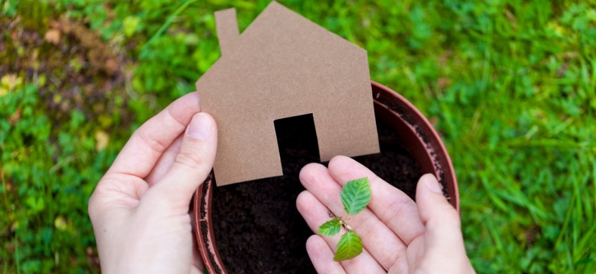 Person's hands holding a house toy model and seedling in blurry green plants background