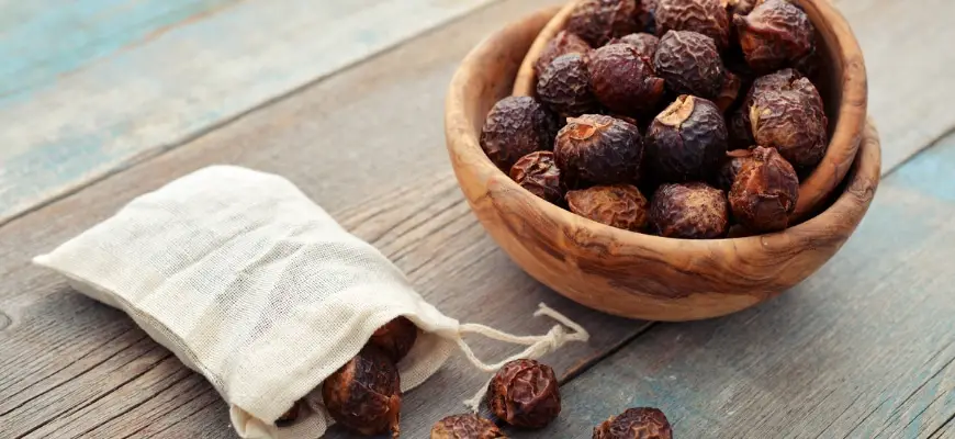 soap nuts in cloth bag and in the wooden bowl in wooden background