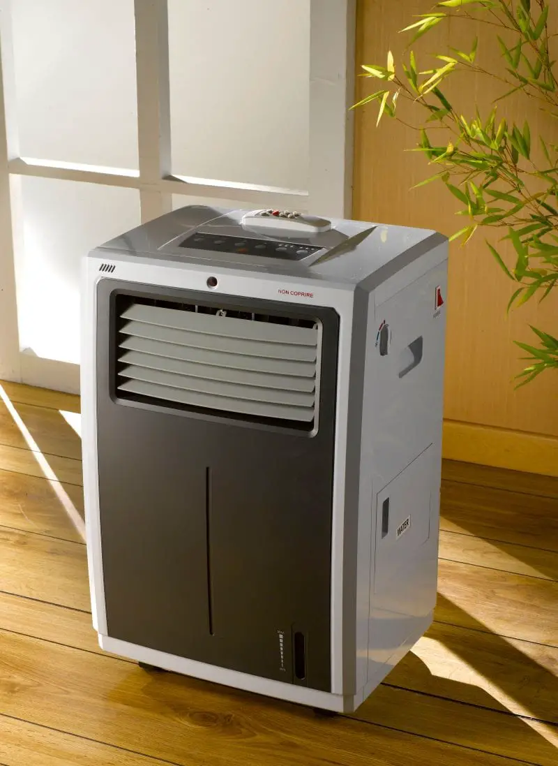 Delonghi portable air conditioner inside the room with wooden floor and green plant