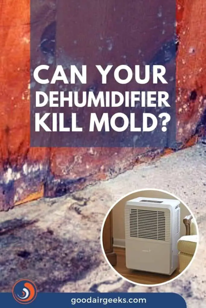 Best Dehumidifier for Mold - Kill Mold Effectively - Good Air Geeks