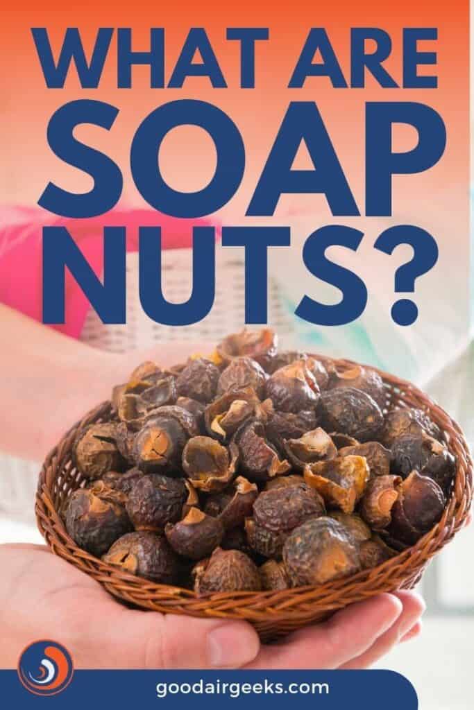 Soap Nuts Everything You Need To Know About This Wonderful Berry