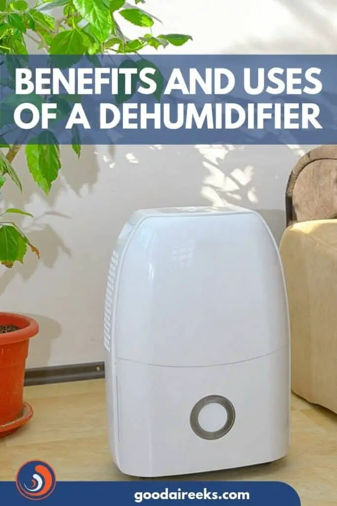 Dehumidifier Benefits and Uses