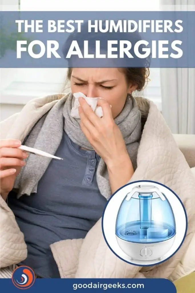 Best Humidifier for Allergies - 2023 Reviews